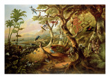 Exotic Birds and Insects Among Trees and Foliage in a Mountainous River Landscape