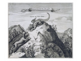 A Mountain in the Jiangxi Province with Crags known as the Dragon and the Tiger