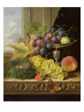 Still Life of Fruit  a Tazza and a Bird's Nest