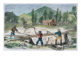 Prospectors Using a Sluice During the California Gold Rush of 1849