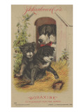 Advertisement for J D Larkin and Co's 'Boraxine'  1882