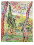 The Garden of St Paul's Hospital  St Remy  October 1889