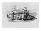 Geese Carried to Market from 'History of British Birds and Quadrupeds'