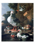 Waterfowl in a Classical Landscape  17th Century