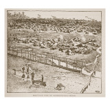 Bird's-Eye View of Andersonville Prison  from a Book Pub 1896