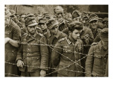 German Soldiers Captured after the Fighting at Mortain and Falaise  1944