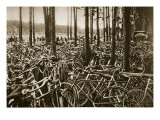 Bicycles at the Avus Racetrack in Berlin  1931