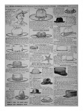 Pages from Sears  Roebuck of Chicago  Catalogue of 1902