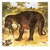 Tyrannosaurus Eating a Struthiomimus