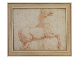 Study of One of the Quirinal Marble Horses