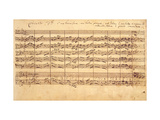 The Brandenburg Concertos  No5 D-Dur  1721