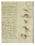 Scientific Diagrams  from the 'Codex Leicester'  1508-12