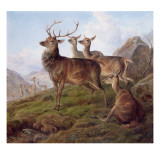 Red Deer in a Highland Landscape  1872