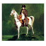 Napoleon on His Favourite Charger  'Marengo'