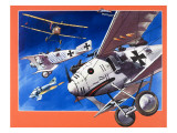 The Roland C-11  from 'Planes of the Past'