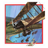 The Wooden Warrior  or Avro 504