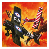 The Birth of Aerial Warfare