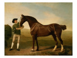 Groom Feeding a Bay Hunter in a Landscape
