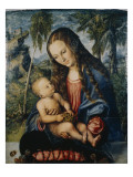 Madonna under the Fir Tree  C1510
