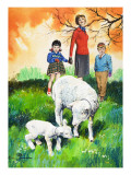 Sheep  Illustration from 'Teddy Bear'  1965