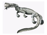 Prehistoric Crocodile Eating a Fish