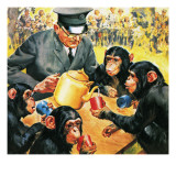 Who's Who at the Zoo: Tea for Four