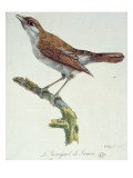 The Nightingale of France  C1830