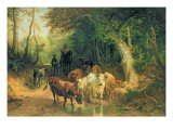 Cattle Watering in a Wooded Landscape