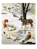 Assorted Animals in the Winter