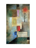 Small Picture of Fir Trees  1922