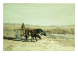 An Ox Cart in New Mexico