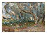 Landscape  Corfu  1909