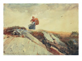 Down the Cliff  1883