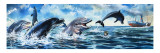 Boy Swimming with Dolphins