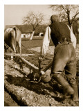 A German Farmer at Work