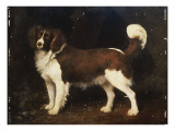 A Spaniel in a Landscape  1784