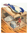 Tom Thumb in a Bird Cage  1957