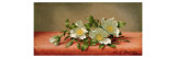 Cherokee Roses  1889