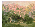 Lilac in the Sun  1873