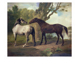 Two Horses in a Landscape