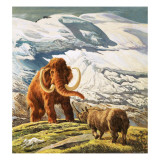 Mammoth Meets Rhinocerous