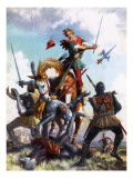 Robin Hood Fighting