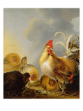 A Group of Farmyard Fowl  1643