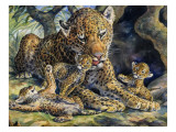Leopard with its Young