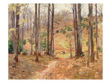 Virginia Woods  1893