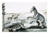 Prehistoric Animals