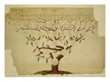 Bach Family Tree  C1750-1770