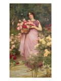 In the Garden of Roses