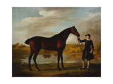 The Duke of Marlborough's