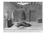 Life of Francois De Paris